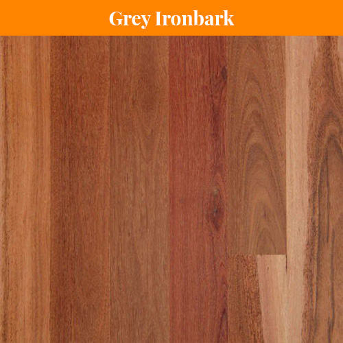 Grey Ironbark